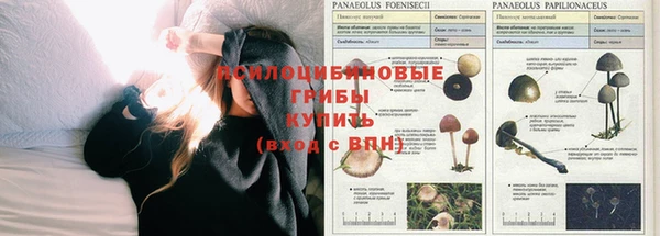 бошки Армянск