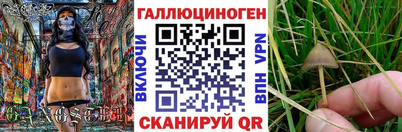 Галлюциногенные грибы Psilocybe  продажа наркотиков  Рошаль 