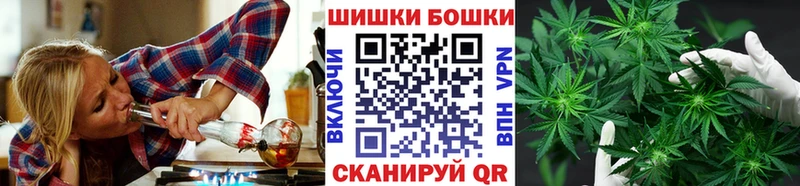 Шишки марихуана сатива  Рошаль 